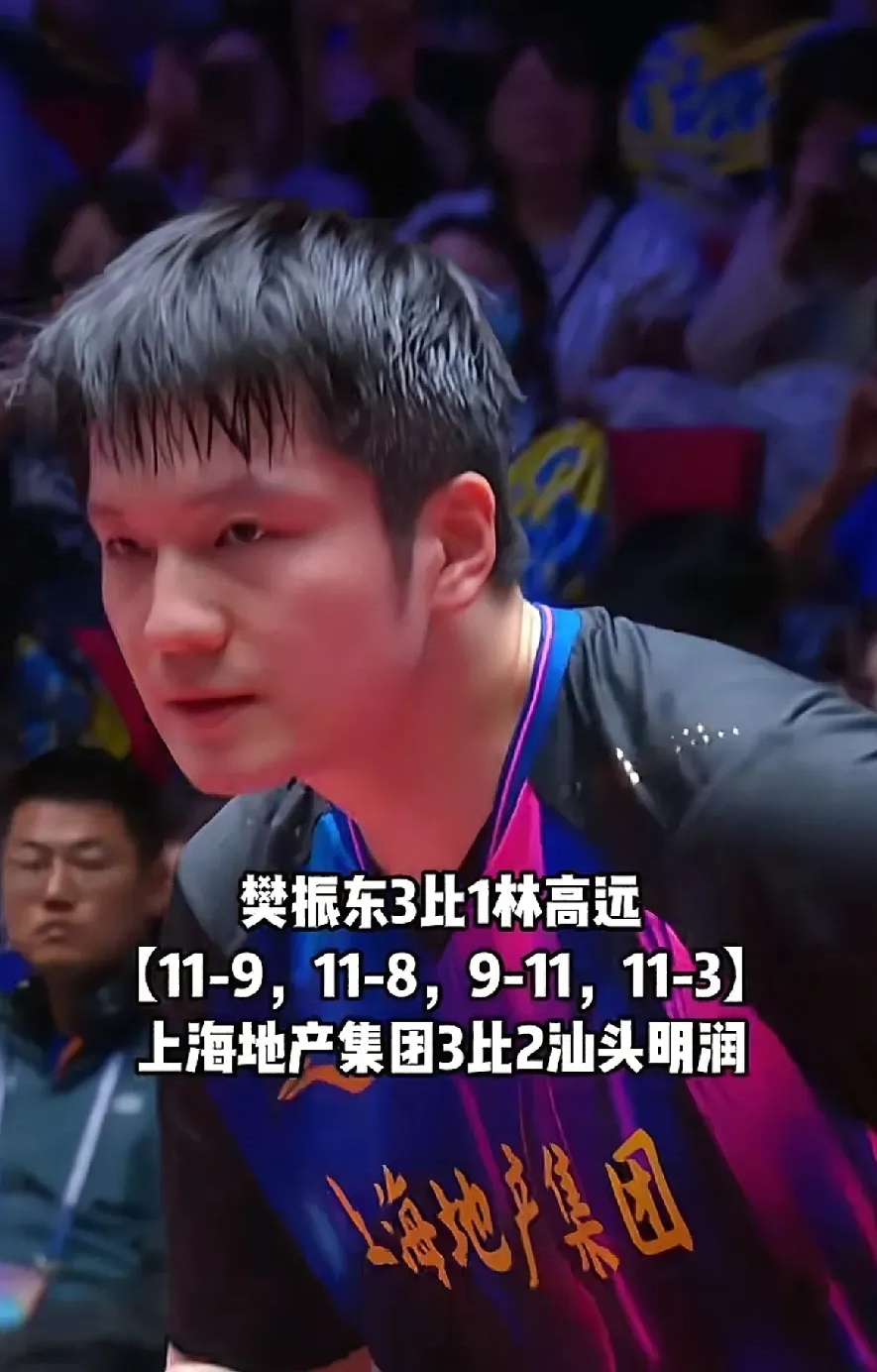 英格兰队逆转韩国队,樊振东状态火热 英格兰队逆转韩国队,樊振东状态火热