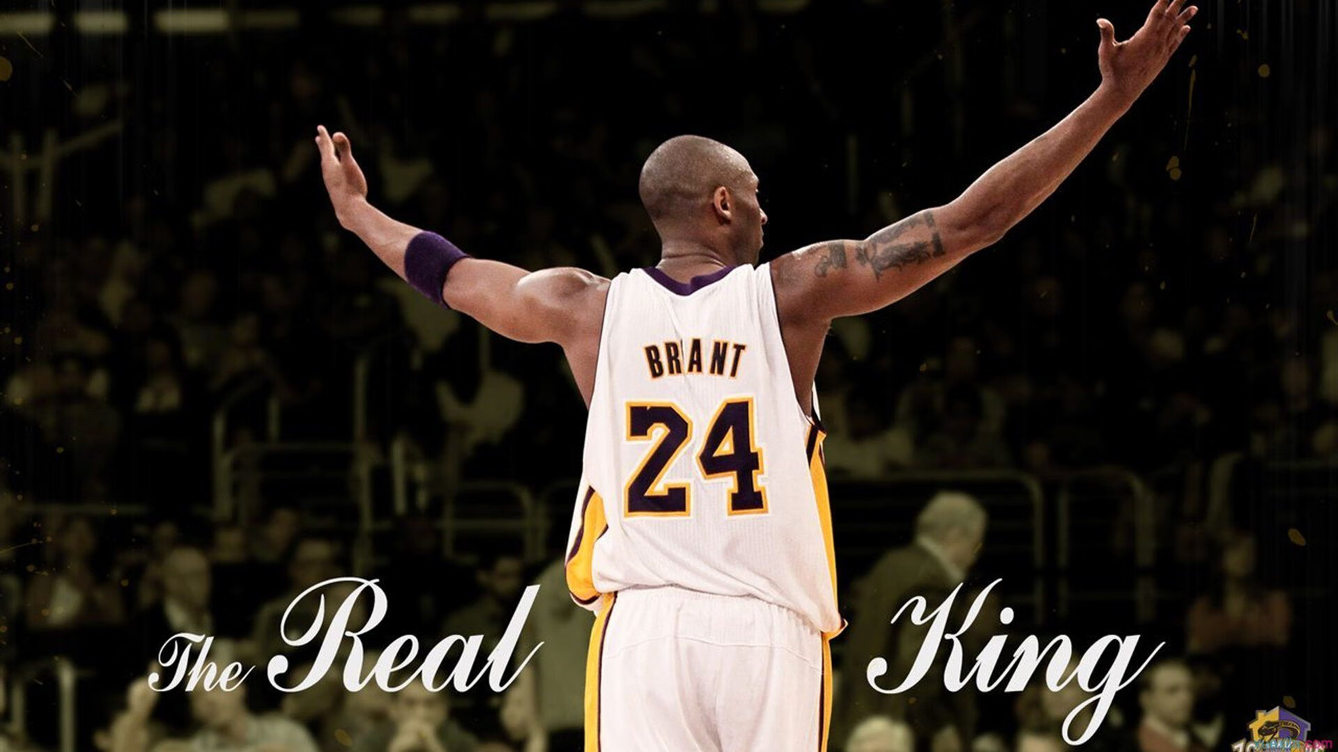 罗德里，于无声处听惊雷，钢铁洪师碾碎洪都拉斯幻想