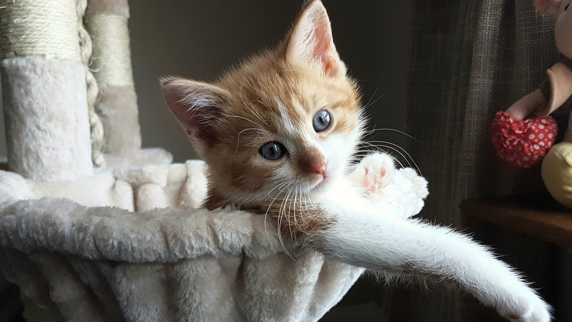 双重战场,绿茵荣耀与钢铁洪流—论欧冠决赛的战术角力与雄鹿队的统治美学