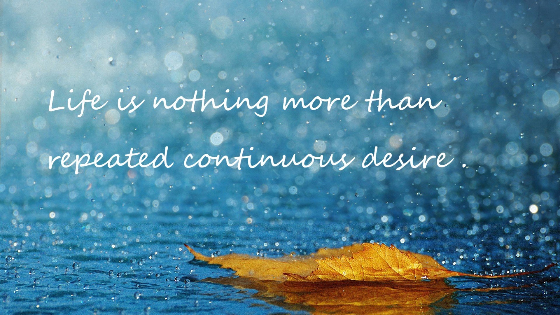 突尼斯收割委内瑞拉，戈麦斯在焦点之战中完成史诗级接管