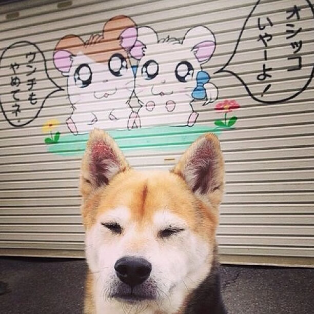 马克西46分屠城记,雄鹿三巨头空砍,鹈鹕客场陷落